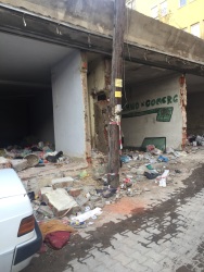 Photo of this report