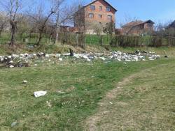 Photo of this report