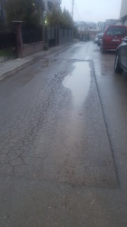 Photo of this report