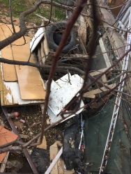 Photo of this report