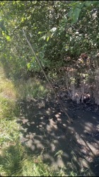 Photo of this report