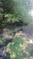 Photo of this report