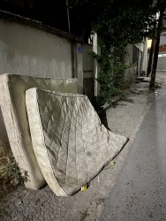 Photo of this report