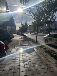 Photo of this report