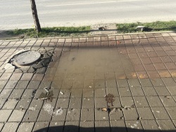 Photo of this report