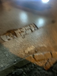 Photo of this report