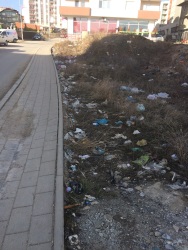 Photo of this report