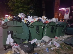 Photo of this report