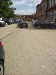 Photo of this report