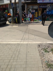 Photo of this report