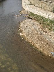 Photo of this report