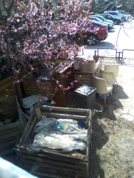 Photo of this report