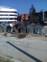 Photo of this report