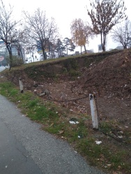 Photo of this report