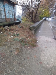 Photo of this report