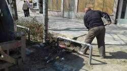 Photo of this report