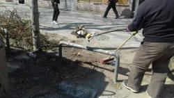 Photo of this report