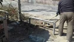 Photo of this report