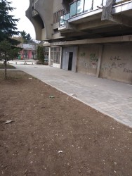 Photo of this report