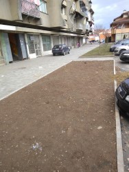 Photo of this report