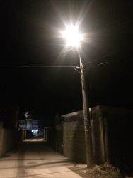 Photo of this report