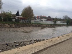 Photo of this report