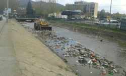 Photo of this report