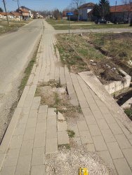 Photo of this report