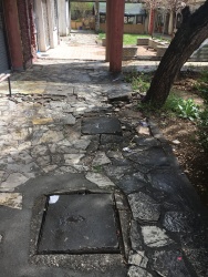 Photo of this report