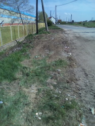 Photo of this report