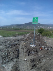 Photo of this report