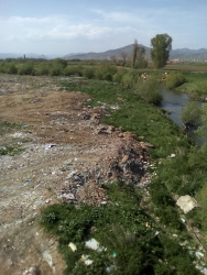 Photo of this report