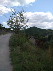 Photo of this report