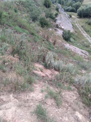 Photo of this report