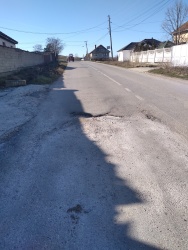 Photo of this report