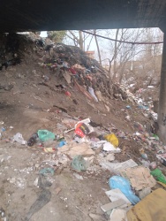 Photo of this report