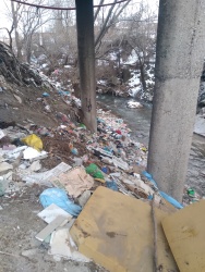 Photo of this report