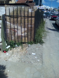 Photo of this report