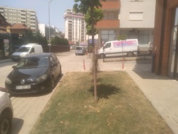 Photo of this report