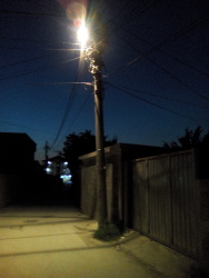 Photo of this report