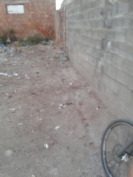 Photo of this report