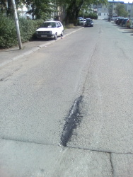 Photo of this report