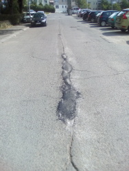 Photo of this report