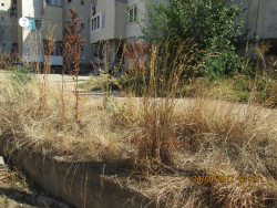 Photo of this report