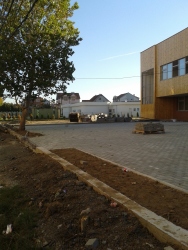 Photo of this report