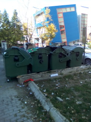 Photo of this report