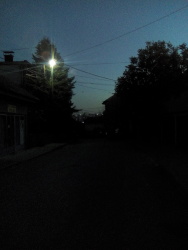 Photo of this report