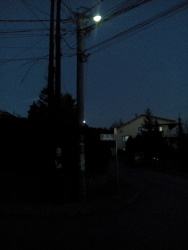 Photo of this report