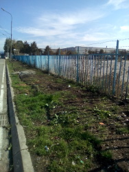 Photo of this report